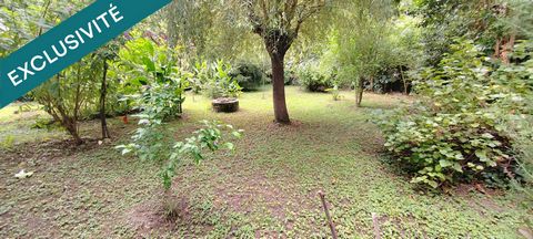 photo no. 10