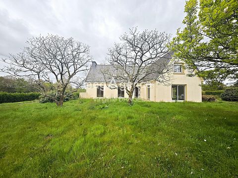 photo no. 8