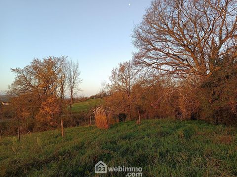 photo no. 17