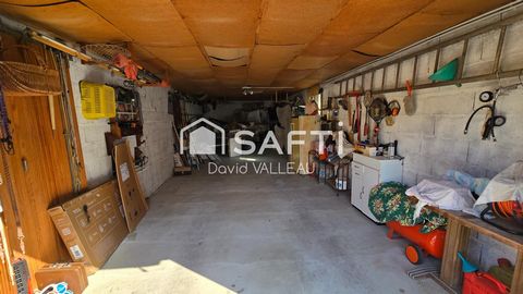 photo no. 18