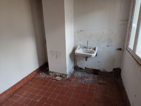 photo no. 9