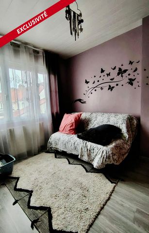 photo no. 8