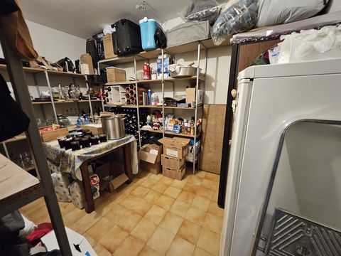 photo no. 12