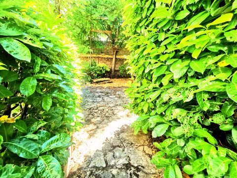 photo no. 27
