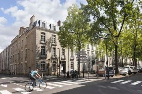 photo no. 11