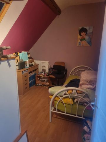 photo no. 12