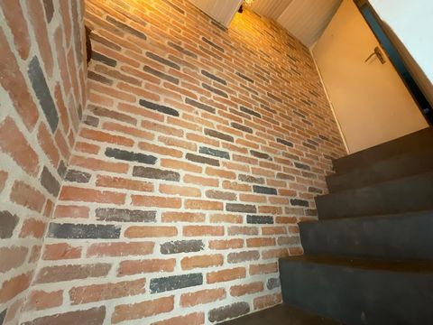 photo no. 11