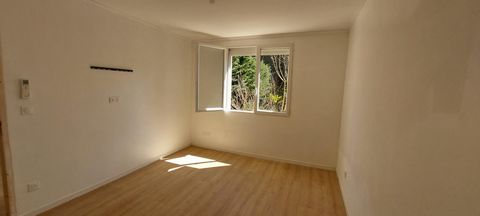 photo no. 10